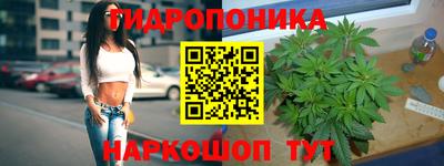 mdpv Будённовск